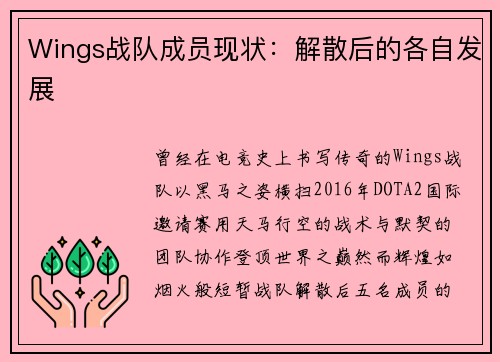 Wings战队成员现状：解散后的各自发展