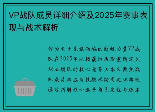 VP战队成员详细介绍及2025年赛事表现与战术解析